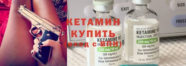 сатива Горняк