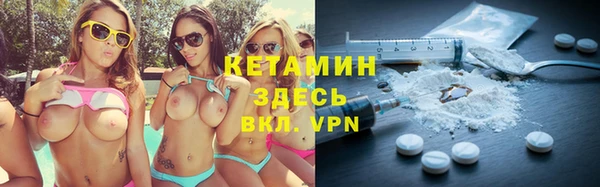 сатива Горняк