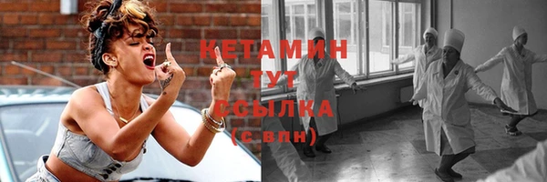сатива Горняк