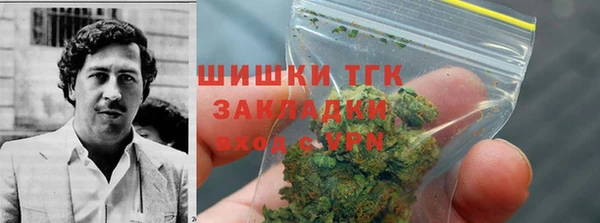сатива Горняк