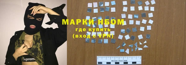 сатива Горняк