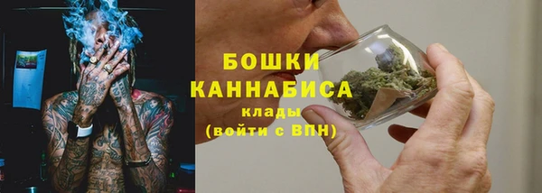 сатива Горняк