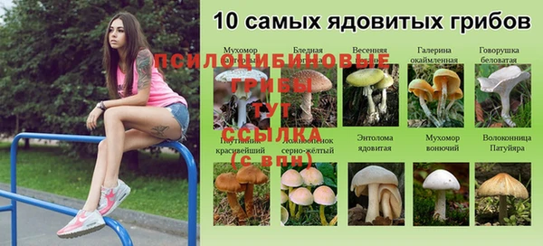jwh Горнозаводск
