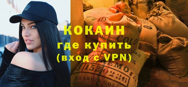 сатива Горняк