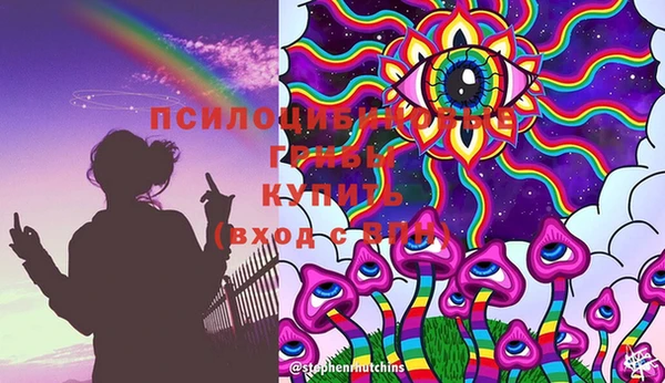 сатива Горняк