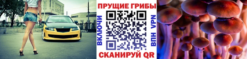 Псилоцибиновые грибы ЛСД  дарнет шоп  Меленки 